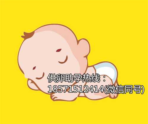 苏州代怀孕联系地址,上海单身女性做试管婴儿费用要多少钱